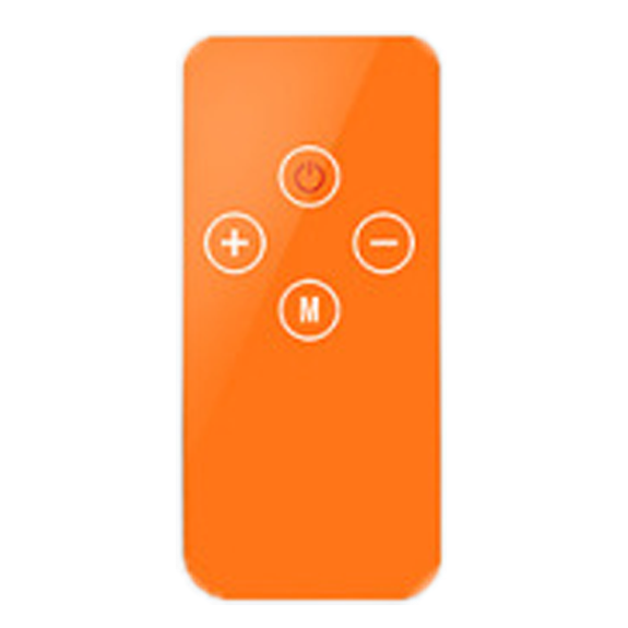 Free Wireless Remote ($19.99 Value)